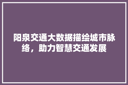阳泉交通大数据描绘城市脉络，助力智慧交通发展