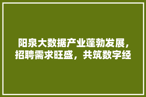 阳泉大数据产业蓬勃发展，招聘需求旺盛，共筑数字经济新未来