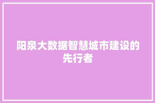 阳泉大数据智慧城市建设的先行者