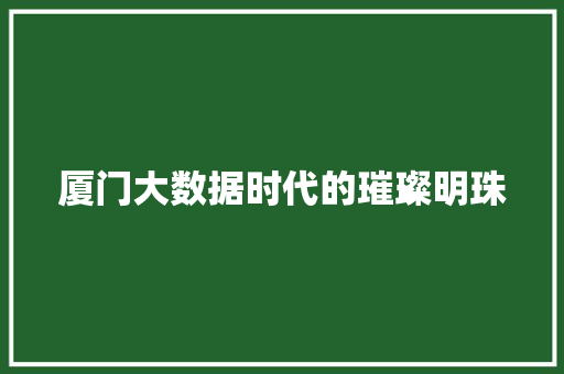 厦门大数据时代的璀璨明珠  第1张