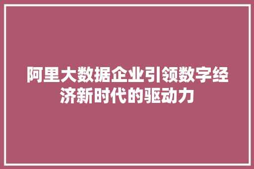 阿里大数据企业引领数字经济新时代的驱动力  第1张