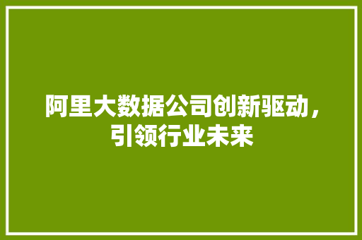 阿里大数据公司创新驱动，引领行业未来  第1张