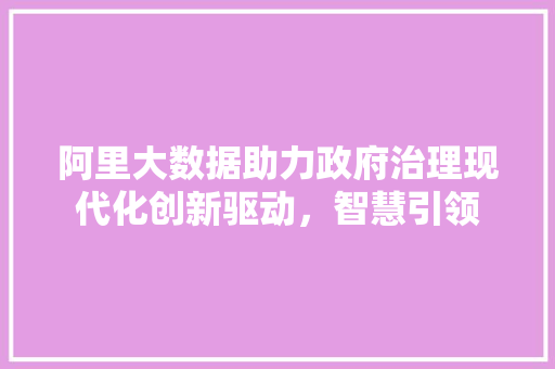 阿里大数据助力政府治理现代化创新驱动，智慧引领  第1张