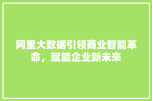 阿里大数据引领商业智能革命，赋能企业新未来  第1张