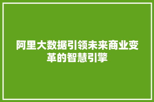 阿里大数据引领未来商业变革的智慧引擎  第1张