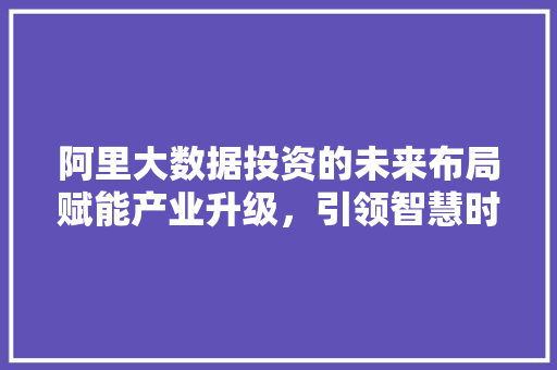 阿里大数据投资的未来布局赋能产业升级，引领智慧时代  第1张