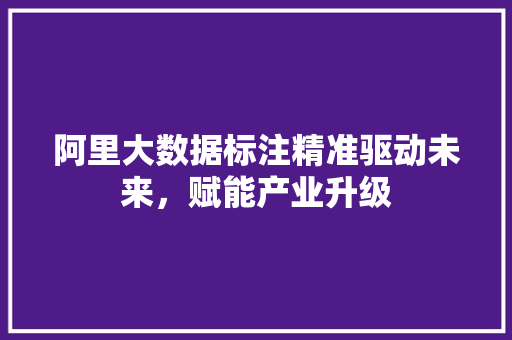阿里大数据标注精准驱动未来，赋能产业升级