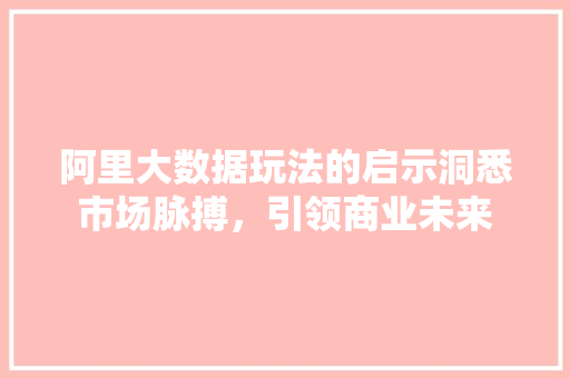 阿里大数据玩法的启示洞悉市场脉搏，引领商业未来  第1张