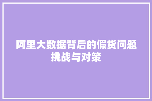 阿里大数据背后的假货问题挑战与对策