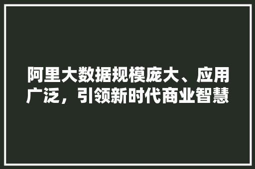 阿里大数据规模庞大、应用广泛，引领新时代商业智慧