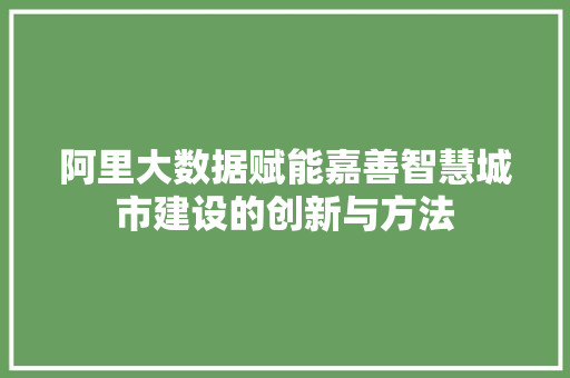 阿里大数据赋能嘉善智慧城市建设的创新与方法