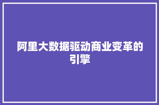 阿里大数据驱动商业变革的引擎  第1张