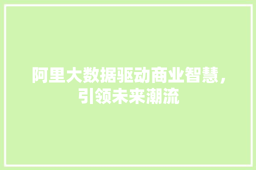 阿里大数据驱动商业智慧，引领未来潮流  第1张