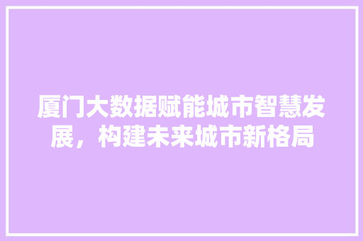 厦门大数据赋能城市智慧发展，构建未来城市新格局