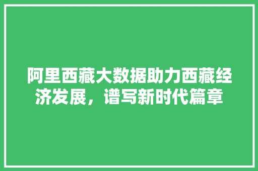 阿里西藏大数据助力西藏经济发展，谱写新时代篇章