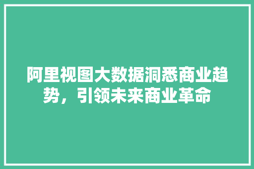 阿里视图大数据洞悉商业趋势，引领未来商业革命