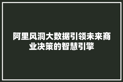 阿里风洞大数据引领未来商业决策的智慧引擎