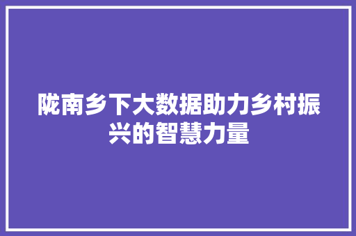 陇南乡下大数据助力乡村振兴的智慧力量  第1张