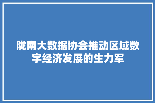 陇南大数据协会推动区域数字经济发展的生力军