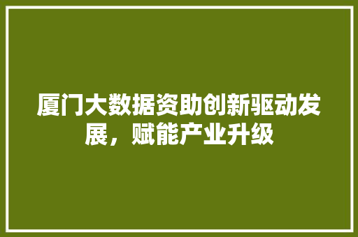 厦门大数据资助创新驱动发展，赋能产业升级