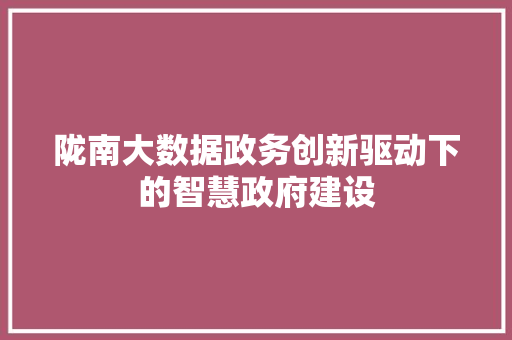 陇南大数据政务创新驱动下的智慧政府建设  第1张
