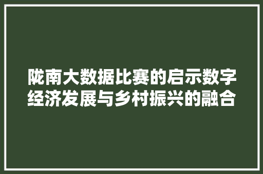 陇南大数据比赛的启示数字经济发展与乡村振兴的融合之路