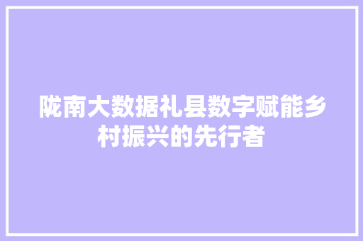 陇南大数据礼县数字赋能乡村振兴的先行者