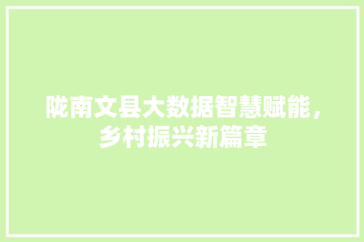 陇南文县大数据智慧赋能，乡村振兴新篇章