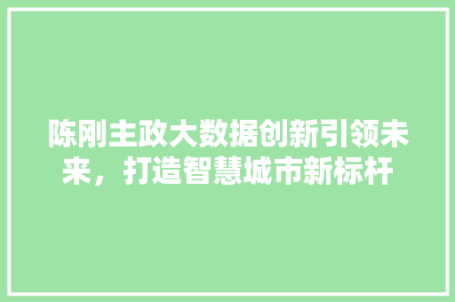 陈刚主政大数据创新引领未来，打造智慧城市新标杆