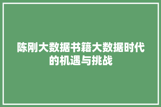 陈刚大数据书籍大数据时代的机遇与挑战