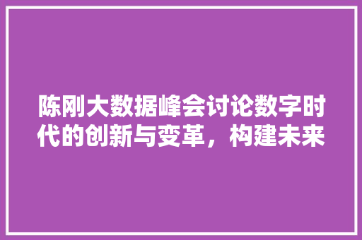 陈刚大数据峰会讨论数字时代的创新与变革，构建未来智能世界