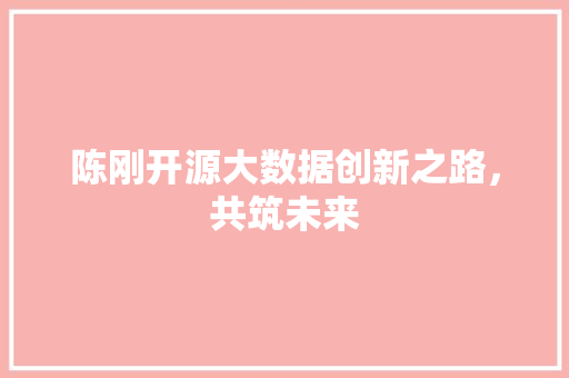 陈刚开源大数据创新之路，共筑未来
