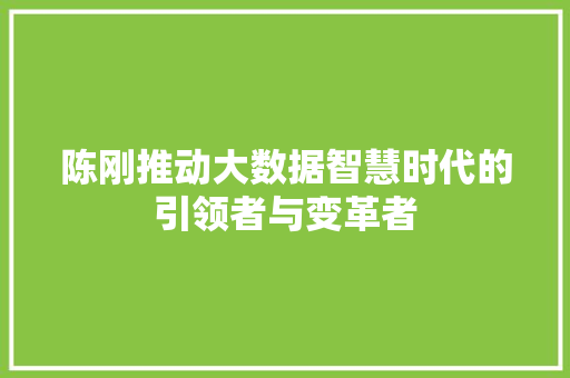 陈刚推动大数据智慧时代的引领者与变革者
