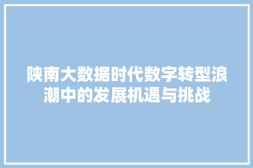 陕南大数据时代数字转型浪潮中的发展机遇与挑战