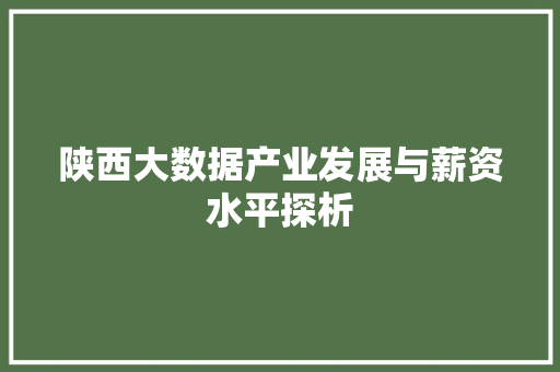 陕西大数据产业发展与薪资水平探析  第1张