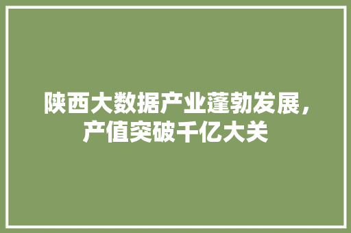 陕西大数据产业蓬勃发展，产值突破千亿大关  第1张