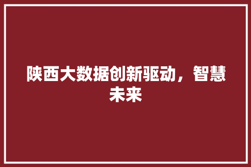 陕西大数据创新驱动，智慧未来  第1张