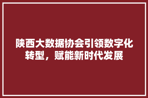 陕西大数据协会引领数字化转型，赋能新时代发展  第1张