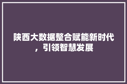 陕西大数据整合赋能新时代，引领智慧发展