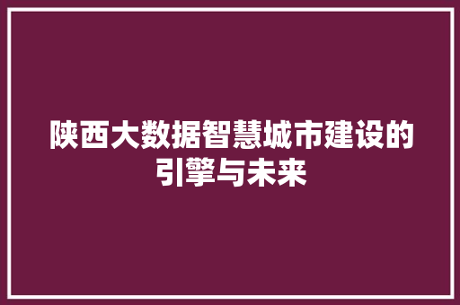 陕西大数据智慧城市建设的引擎与未来  第1张