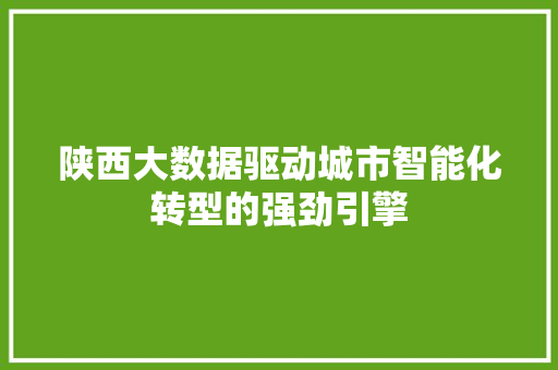 陕西大数据驱动城市智能化转型的强劲引擎