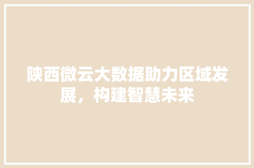 陕西微云大数据助力区域发展，构建智慧未来