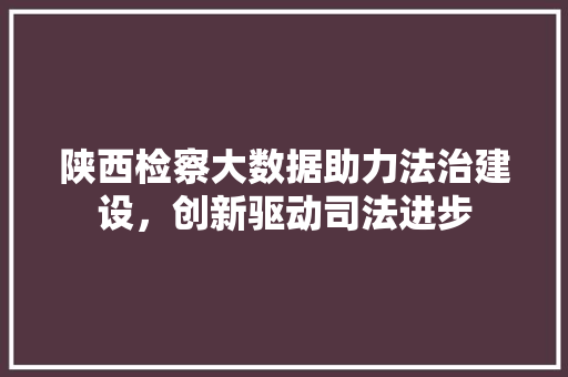 陕西检察大数据助力法治建设，创新驱动司法进步