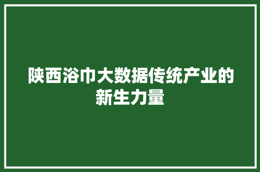 陕西浴巾大数据传统产业的新生力量