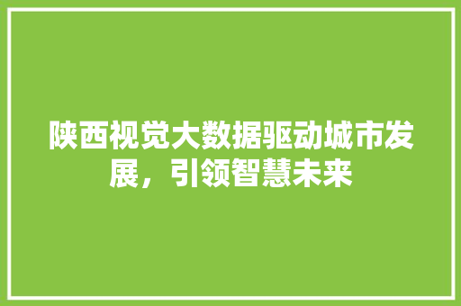 陕西视觉大数据驱动城市发展，引领智慧未来