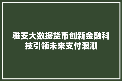 雅安大数据货币创新金融科技引领未来支付浪潮