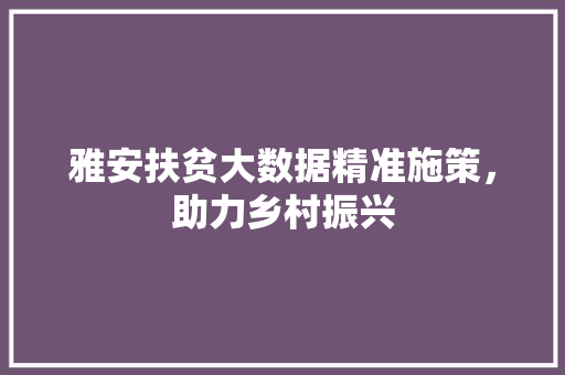 雅安扶贫大数据精准施策，助力乡村振兴
