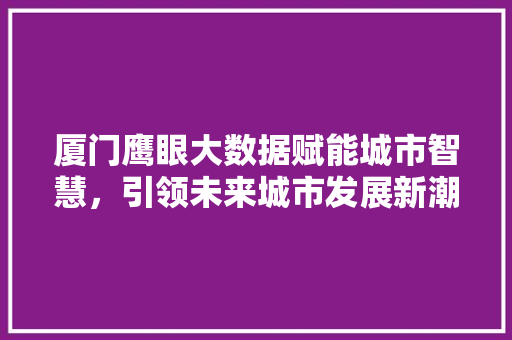 厦门鹰眼大数据赋能城市智慧，引领未来城市发展新潮流