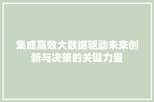 集成高效大数据驱动未来创新与决策的关键力量