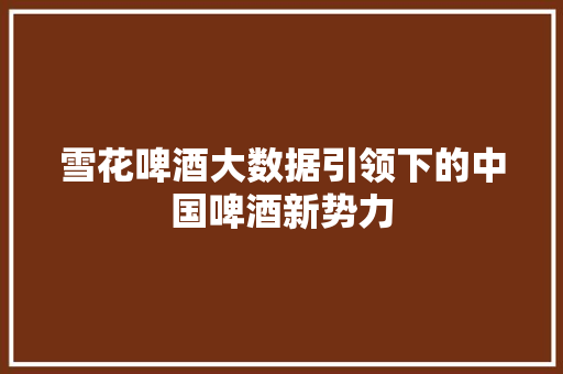 雪花啤酒大数据引领下的中国啤酒新势力